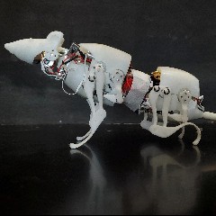 Robo Rat