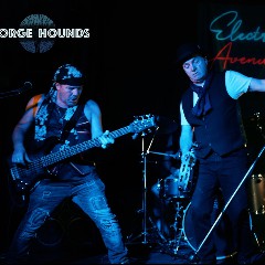Forge Hounds