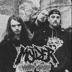 Molder
