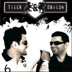 Tiger & Dragon