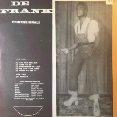 De Frank Professionals