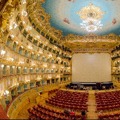 Fenice