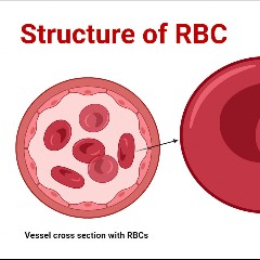 R.B.C.