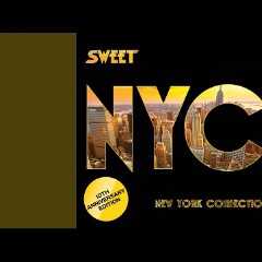 N.Y. Connection