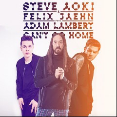 Steve Aoki & Felix Jaehn feat. Adam Lambert