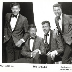 The Shells