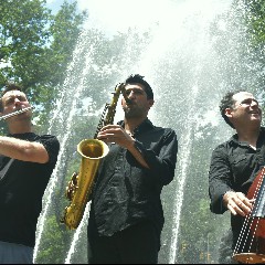 Project Trio