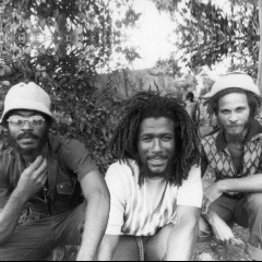 The Congos