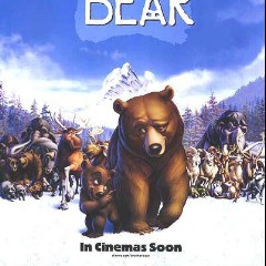 The Bear Brothers