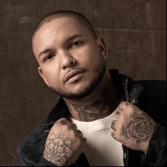 Suel