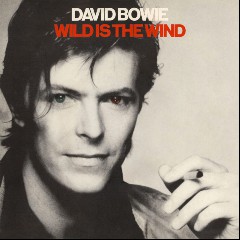 Wild Is The Wind