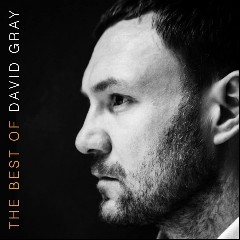 David Gray