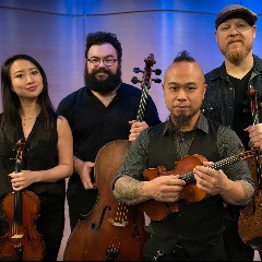 Vitamin String Quartet