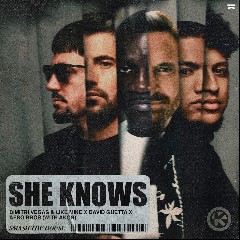 Dimitri Vegas & Like Mike Vs. David Guetta & Robin Sch...