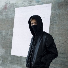 Alan Walker, Noah Cyrus & Digital Farm Animals