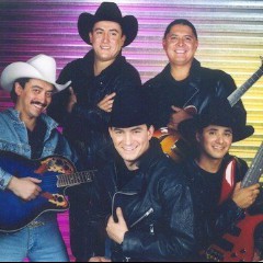 Caballo Dorado