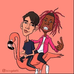 Flamingo Star