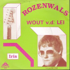 Wout van der Lei