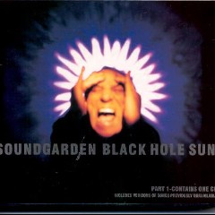 Black Hole Sun