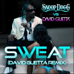 Snoop Dog Feat David Guetta
