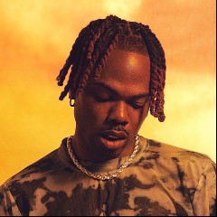 CKay feat. Davido, Focalistic & Abidoza