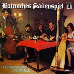 Forstinninger Volksmusi