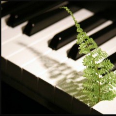Relaxing Piano