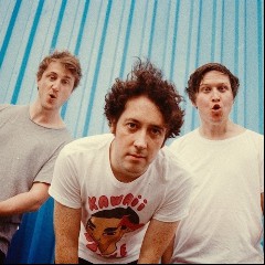 The Wombats