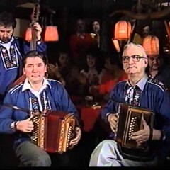 Schanfigger Ländler-Quintett