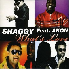 Shaggy feat. Akon