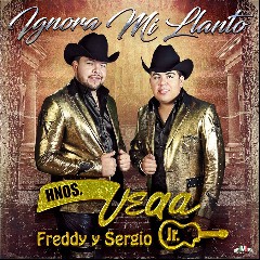 Hermanos Vega Jr.