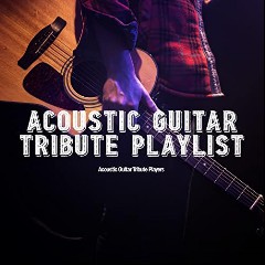 Acoustic Guitar Tribute Players