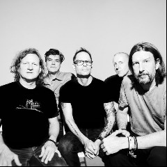 Gin Blossoms