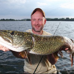 Esox