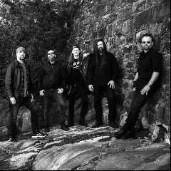 In the Woods…