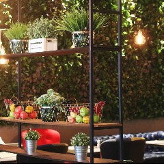 Caffè italiano lounge