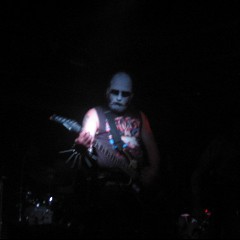 Nachtfalke