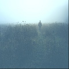 Moonlight Echoes