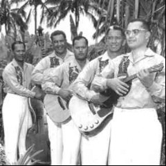 Die Hilo-Hawaiians