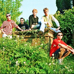 The Mock Turtles
