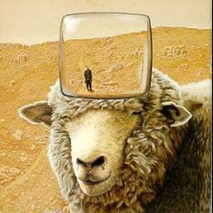 Electric Sheep