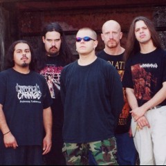 Origin