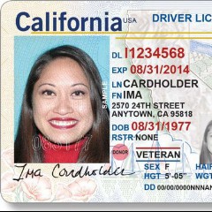 Drivers License
