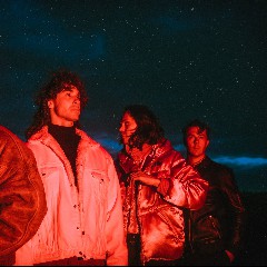 Don Broco