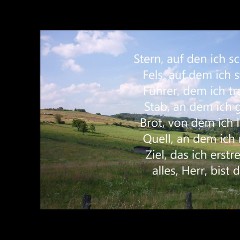Stern, auf den ich schaue