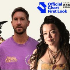CALVIN HARRIS/CLEMENTINE DOUGLA