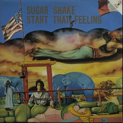 Sugar Shake