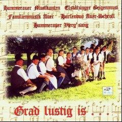 Hammerauer Musikanten