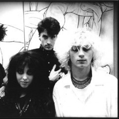 Venus in Furs