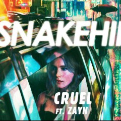 Snakehips feat. ZAYN